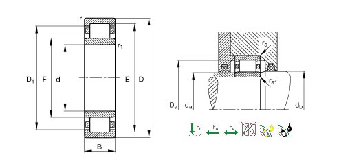 NACHINUP206E圆柱滚子轴承平面图