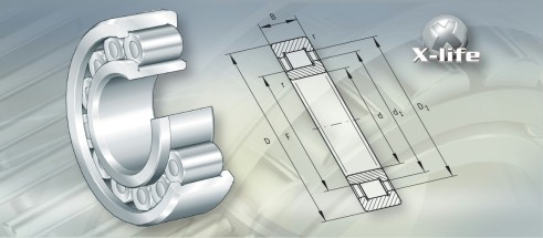 NACHINUP206E轴承三维模拟图