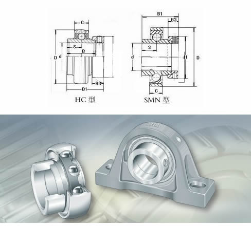 NTNUKFL209;H2309X轴承三维模拟图