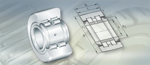 INAPWTR40.2RS轴承三维模拟图