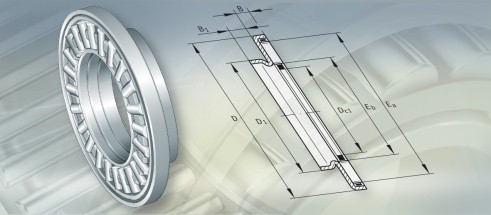 INAZARF40100TN轴承三维模拟图