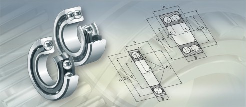 NACHI7306DB轴承三维模拟图
